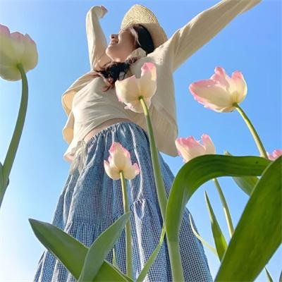 金牌贱猫：重新出击